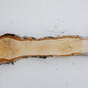 visakoivun lankku 38 mm - 50 cm