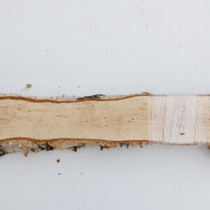 visakoivun lankku 38 mm - 50 cm