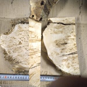 Lehmuksen runkovisa. 30€ 3 kpl